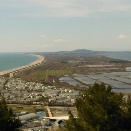 Appartamento 2 Pièces Avec Terrasse Face Du Lazaret - 2 Clévacances - Fr-1-472a-157